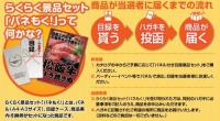 【パネモク】大人買い!チキンラーメン30食 [目録・パネル付]/FK-54