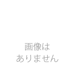 フラワーウォール(フォトブース用)